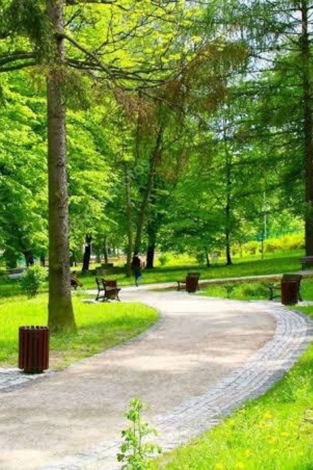 Maltepe Belediyesi Geneli Park Yapım ve Bakım - Görsel 3